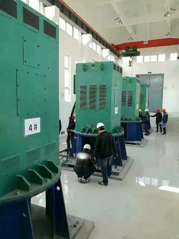 淮安某污水处理厂使用我厂的立式高压电机安装现场